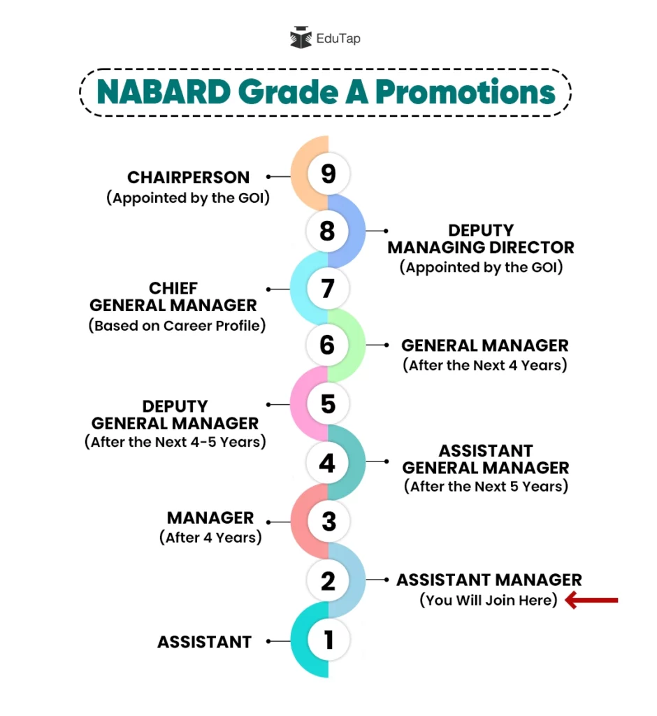 NABARD Grade A Promotions hierarchy from assistant manager to chairperson