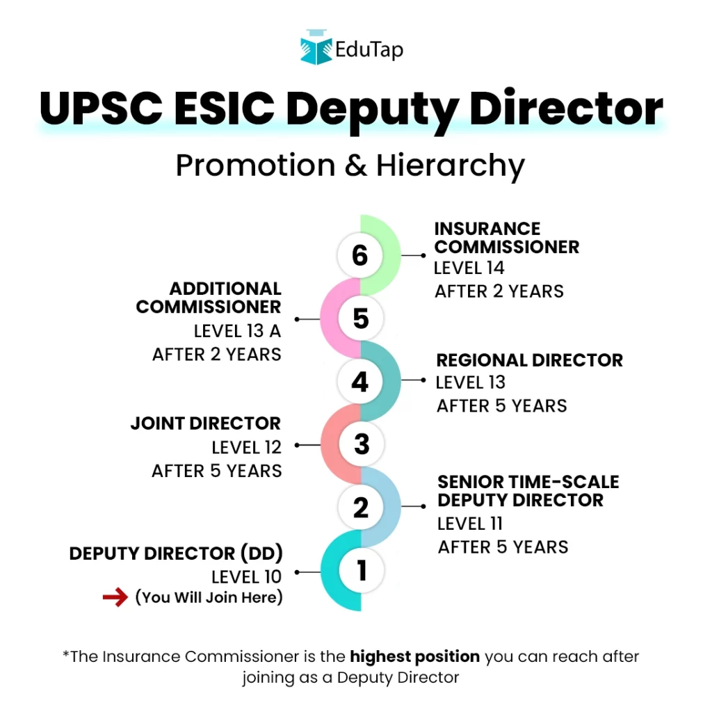 The promotion hierarchy of an ESIC Deputy director explaining the level of each position and time required to be eligible for the next promotions.
